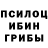 Галлюциногенные грибы мухоморы JUSEPE channel